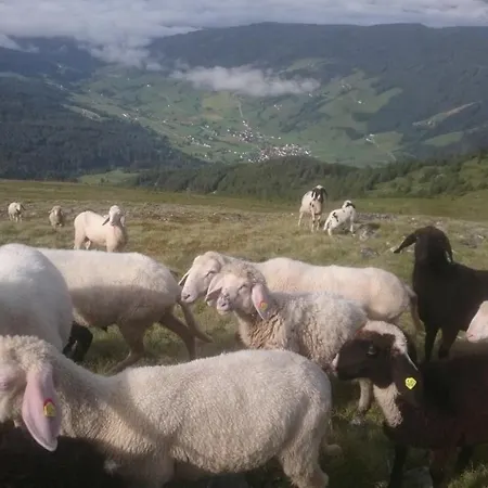 Appartamento Lenzbauer