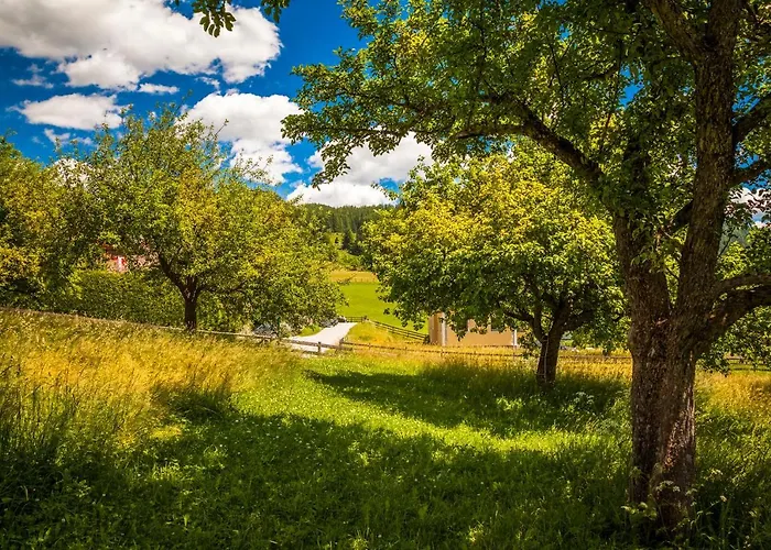 Appartement Lenzbauer Lessach
