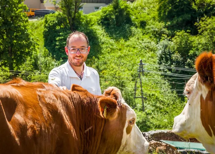 Appartement Lenzbauer *